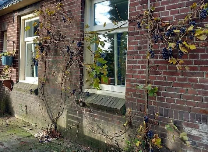 Erve Boonk Lägenhet